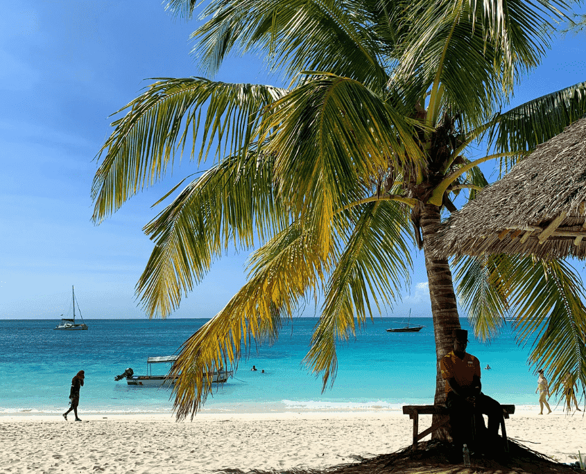 Wit strand met palmen en helderblauwe zee op Zanzibar