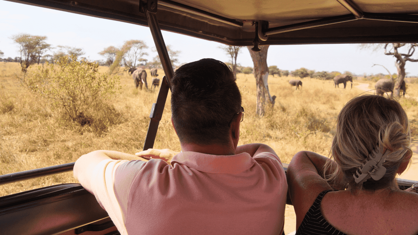 Reizigers kijken vanuit de open safari-jeep naar olifanten op de savanne