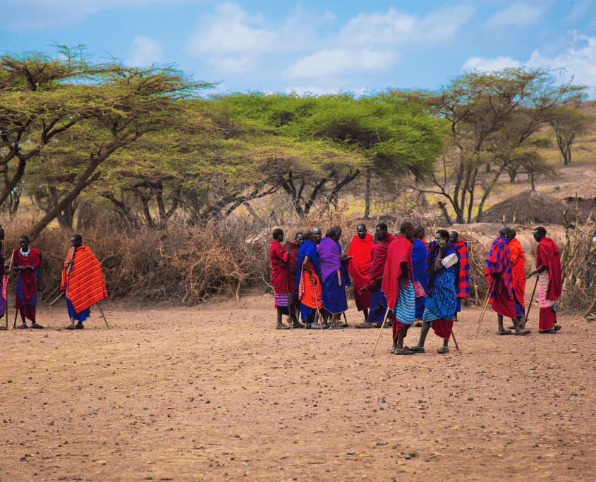 Maasai in traditionele kleding bij hun dorp in Tanzania