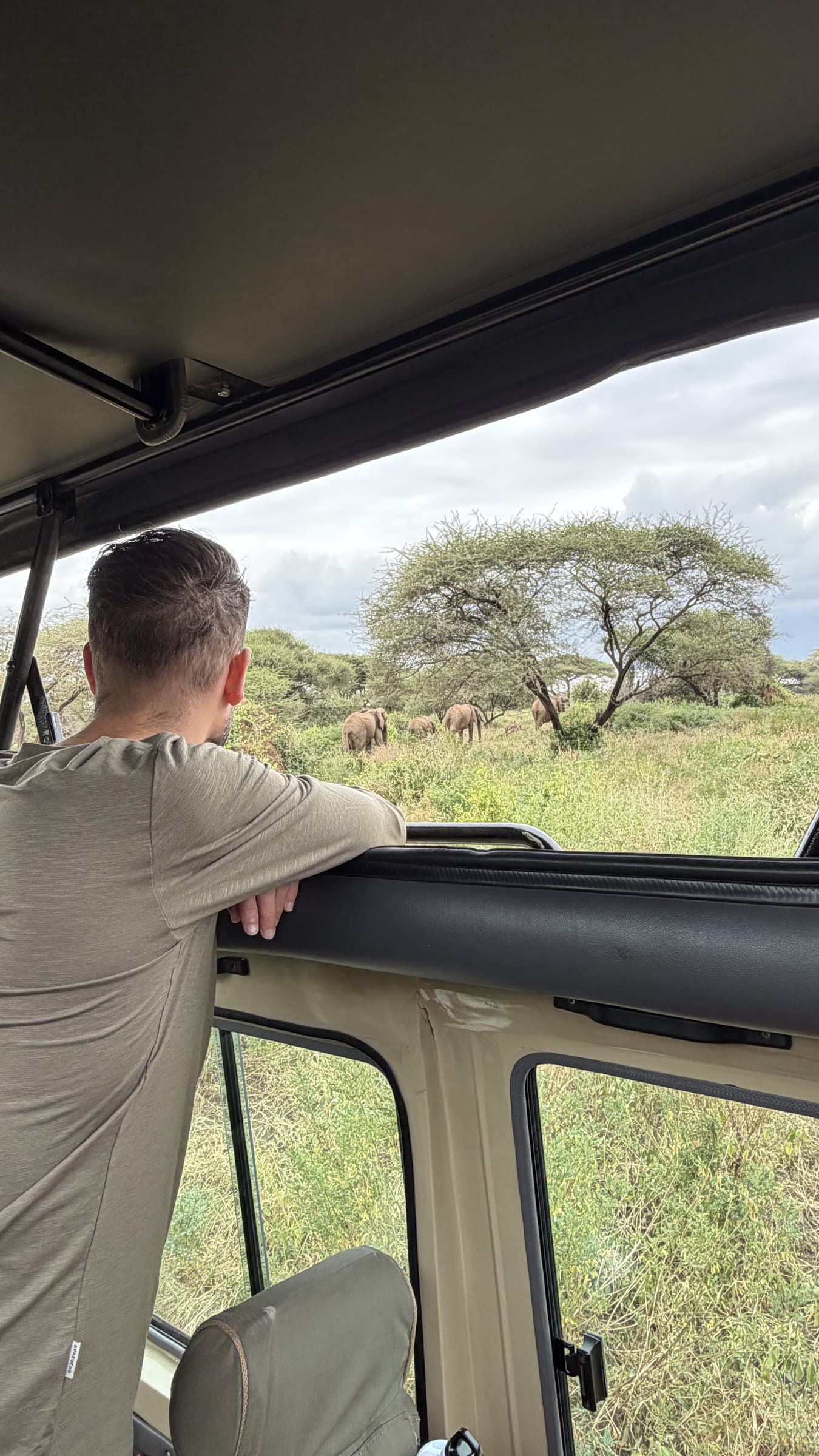 Reizigers kijken vanuit de safari-auto naar een kudde olifanten