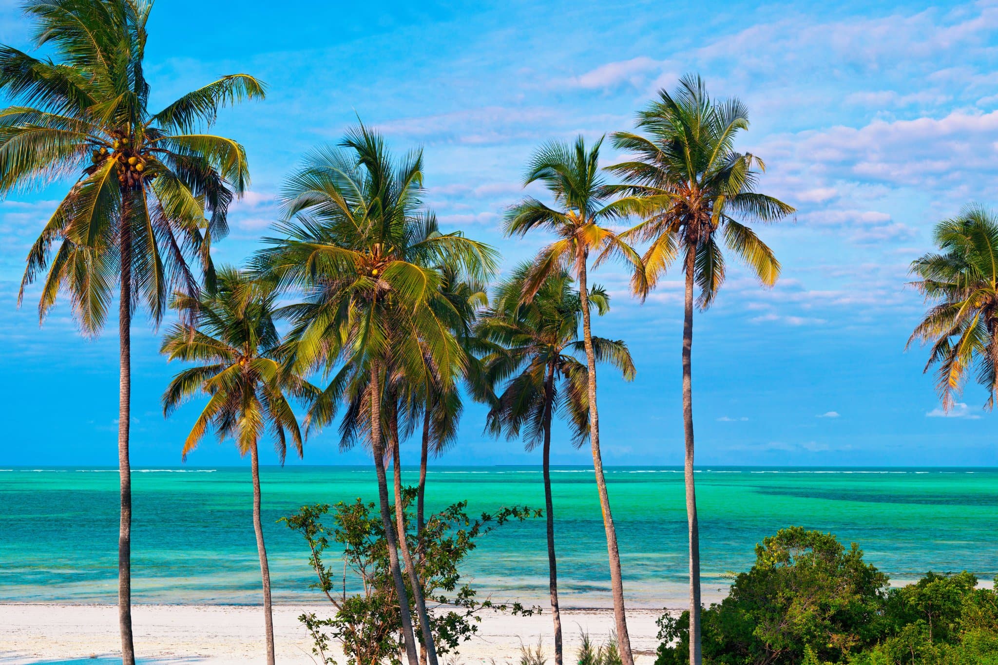 Uitzicht op de Indische Oceaan bij Zanzibar