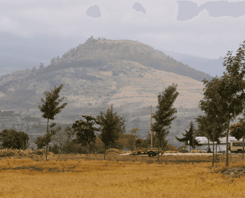 Uitzicht op het groene landschap aan de voet van de Kilimanjaro