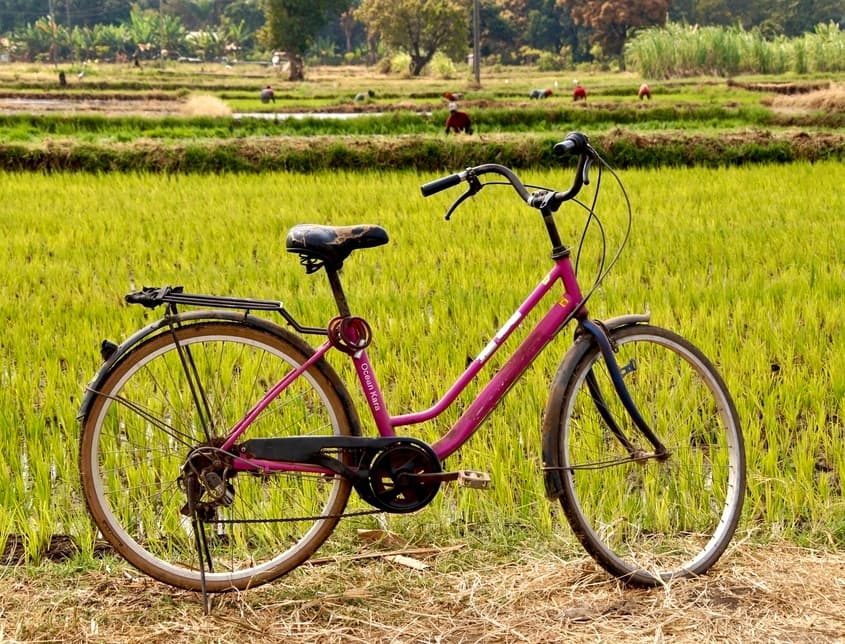 Fiets in Mto wa Mbu bij de rijstvelden