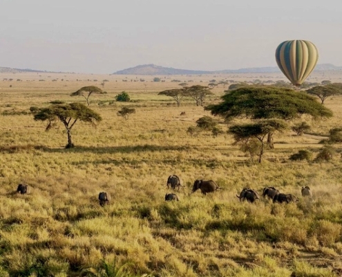 Luchtfoto Serengeti met ollifanten en luchtballon 2 (1)