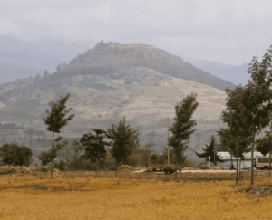 Koe op Jonas zijn boerderij