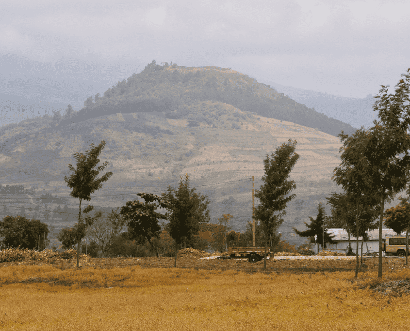 Uitzicht van boerderij Jonas