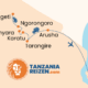 Tanzania reisroute Arusha, Tarangire, Lake Manyara, Ngorongoro, Serengeti, Zanzibar