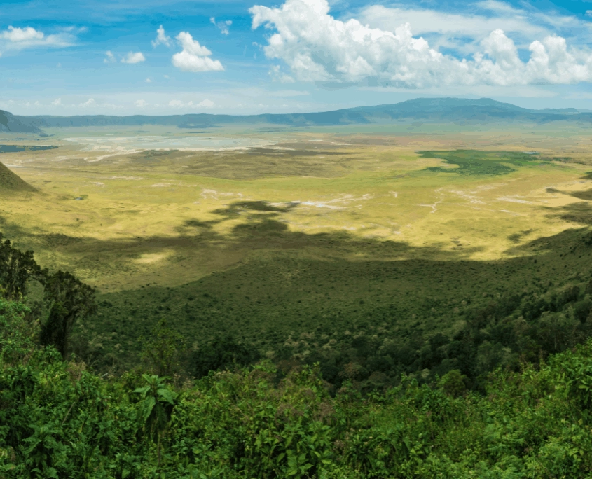 Uitzicht Ngorongoro Krater vanuit uitzichtpunt