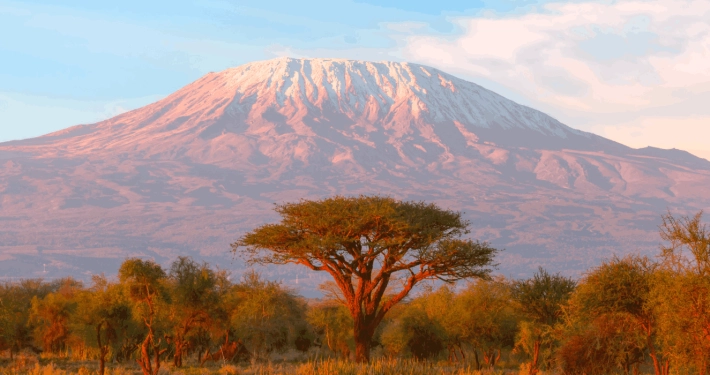 Mount Kilimanjaro bij zonsopgang