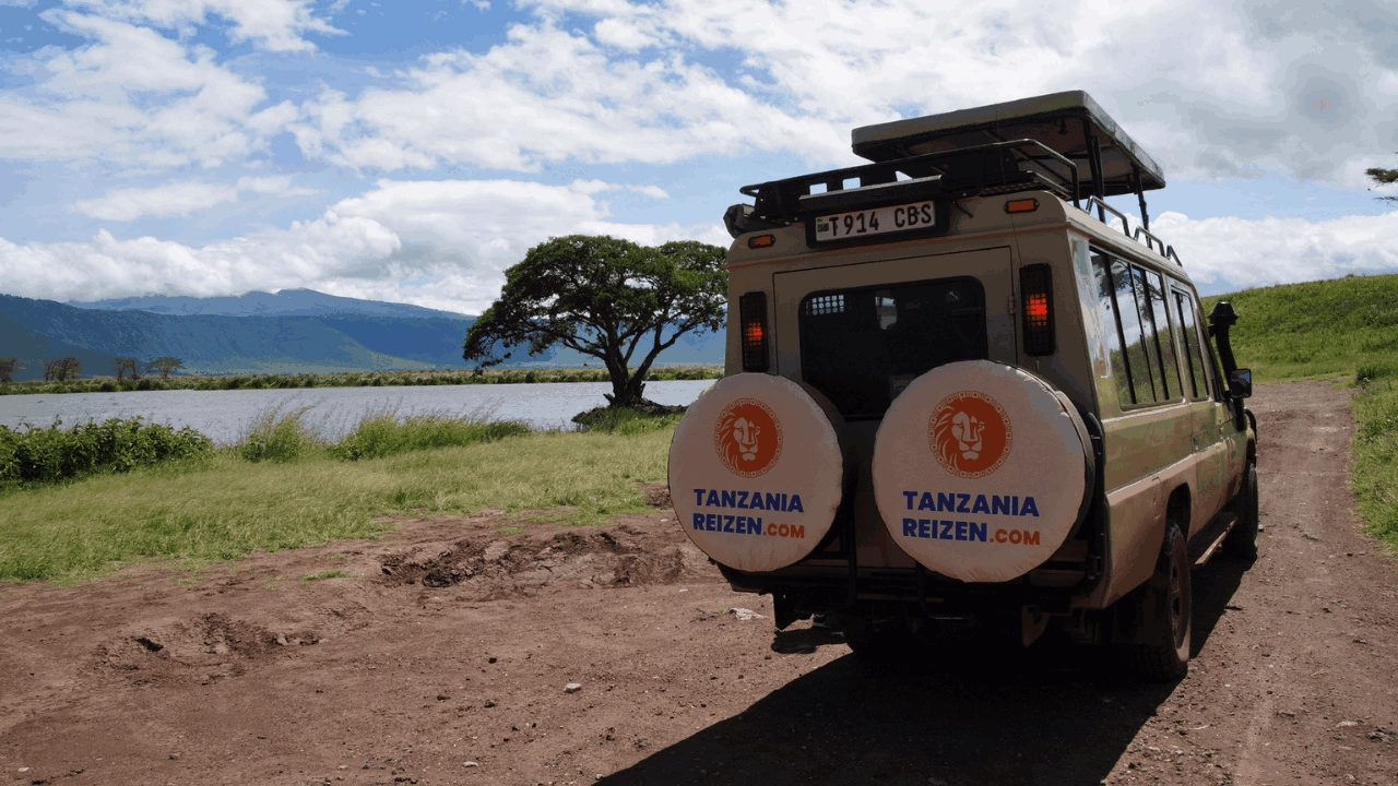 Tanzania Reizen jeep op safari in mooi landschap