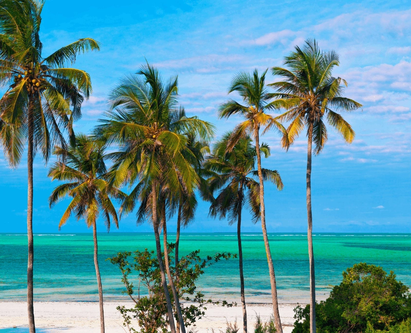 Nungwi beach Zanzibar
